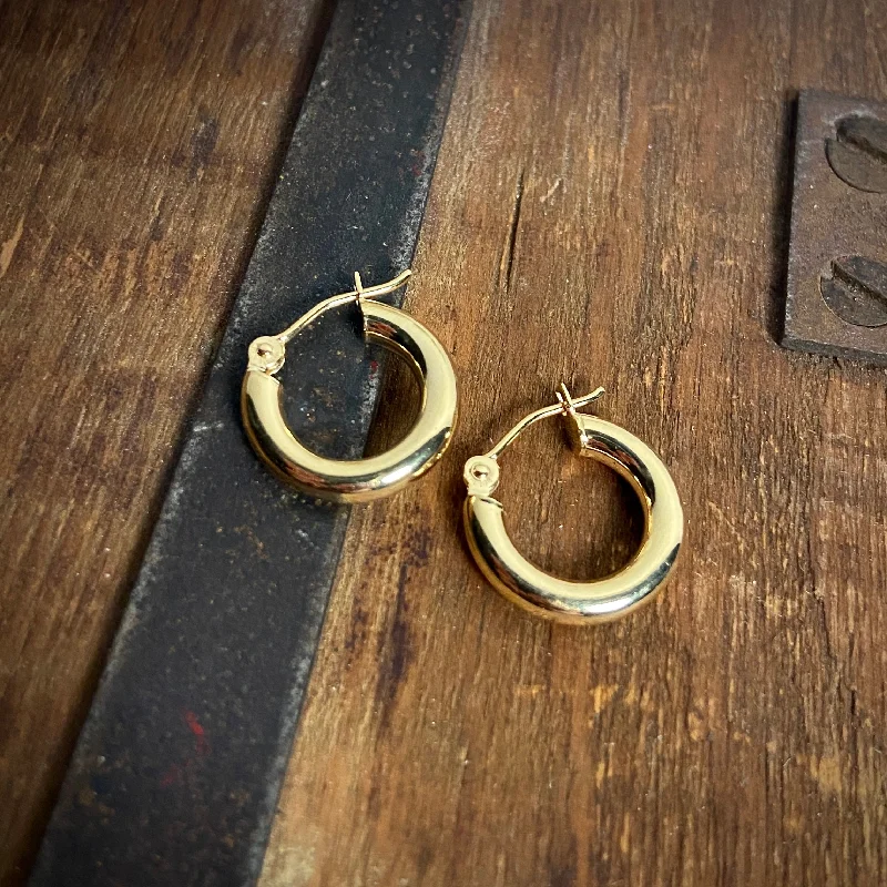 Acrylic Earrings-14k 3x15mm Gold Hoops